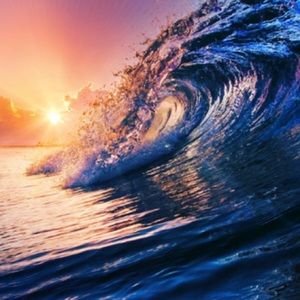 Meet your Posher, Ava